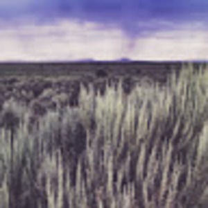 Meet your Posher, Kasey